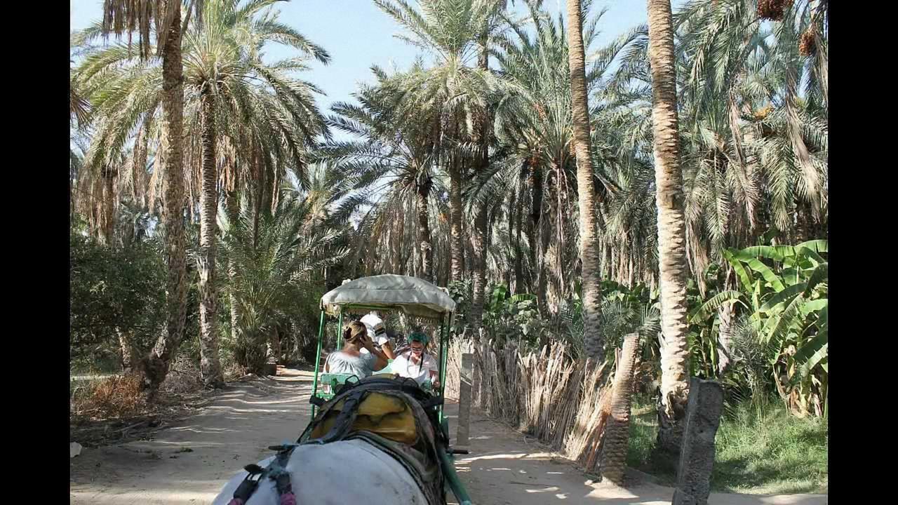 Dar Ezzahra Villa Tozeur Exterior photo